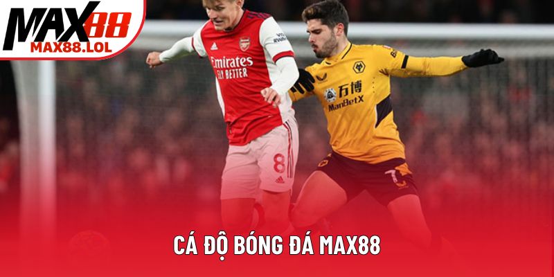 Cách Cá Độ Bóng Đá Max88 Hiệu Quả Cho Người Mới