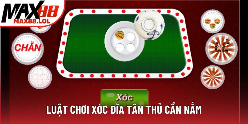 Luật chơi xóc đĩa tân thủ cần nắm Luật chơi xóc đĩa tân thủ cần nắm