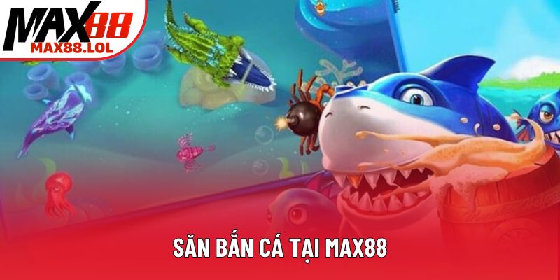 Săn bắn cá tại Max88