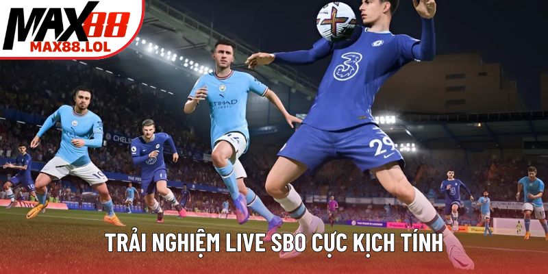 Trải nghiệm live SBO cực kịch tính Trải nghiệm live SBO cực kịch tính